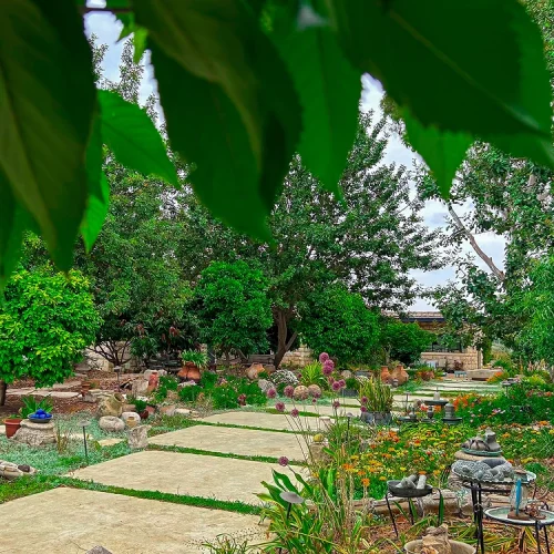 ערוגת פרחים כתומה וצבעונית לצד שביל אבן ועצים בוגרים.