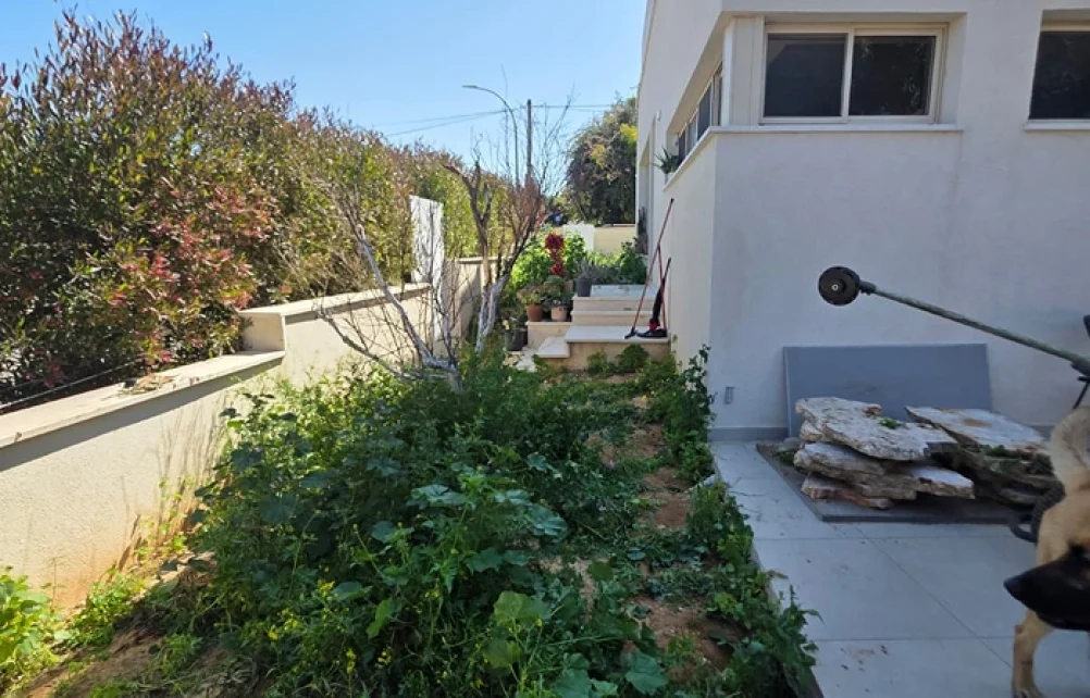 רצועת גינה צפופה בצמחייה לאורך הבית לפני עבודות השדרוג.