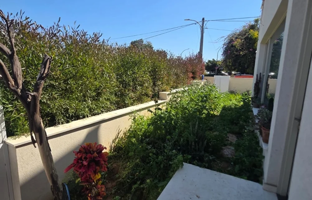 מעבר צר לצד הבית עם צמחייה קיימת ועשבייה לפני השדרוג.