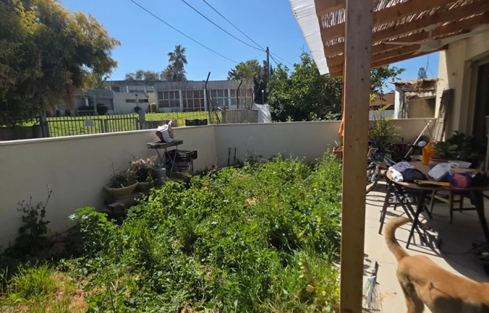 אזור גינה עם עשבייה צפופה וצמחייה לא מסודרת לצד פינת ישיבה.
