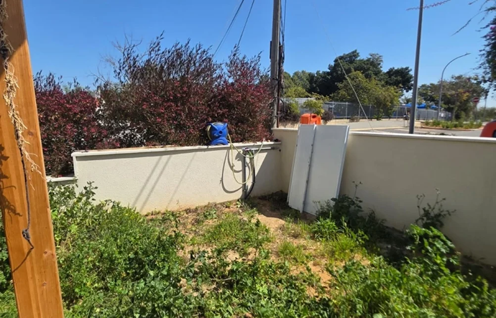 שטח גינה מוזנח עם עשבייה וצמחייה לא מסודרת ליד קיר החצר.
