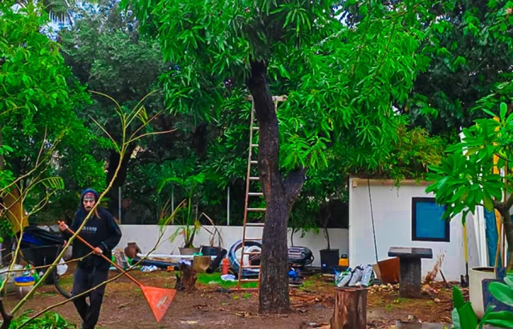 שטח החצר בתחילת עבודות הגינון והקמת התשתיות, מוקף עצים בוגרים ומבנה מגורים.