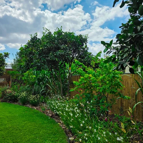 מדשאה ירוקה מוקפת עצים, שיחים וצמחייה מגוונת.